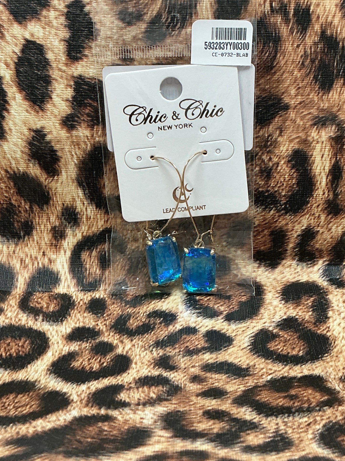 Rectangle Rhinestone Earrings